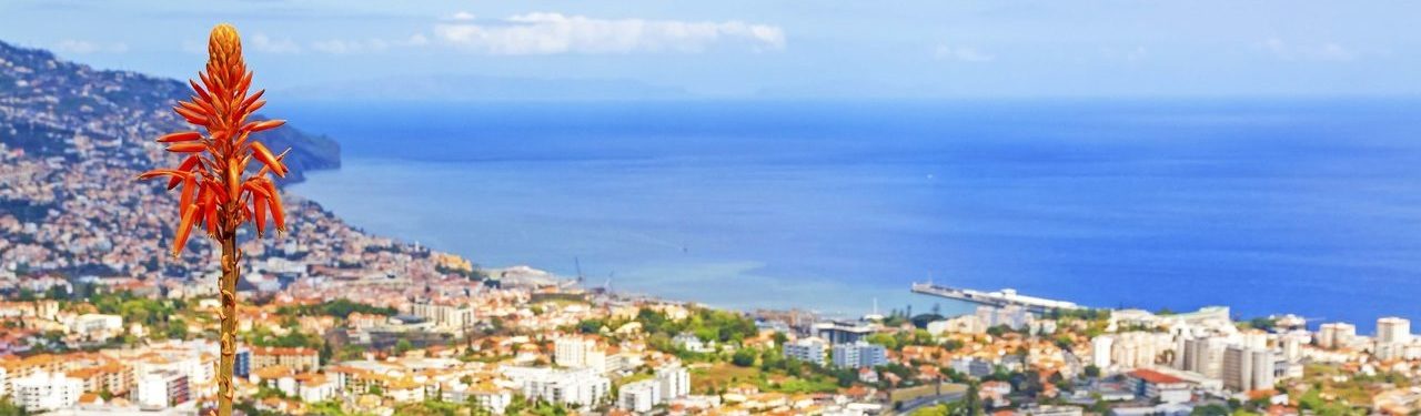 Madeira, ostrov věčného jara