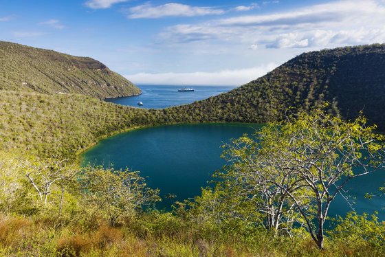 Tagus Cove (Galapágy, Isabela)