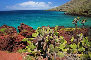 Rabida (Galapágy)