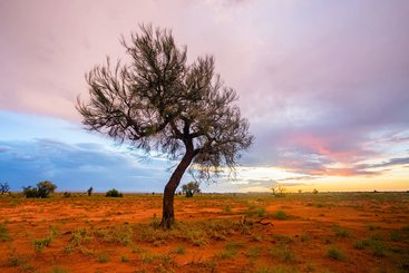 Port Hedland