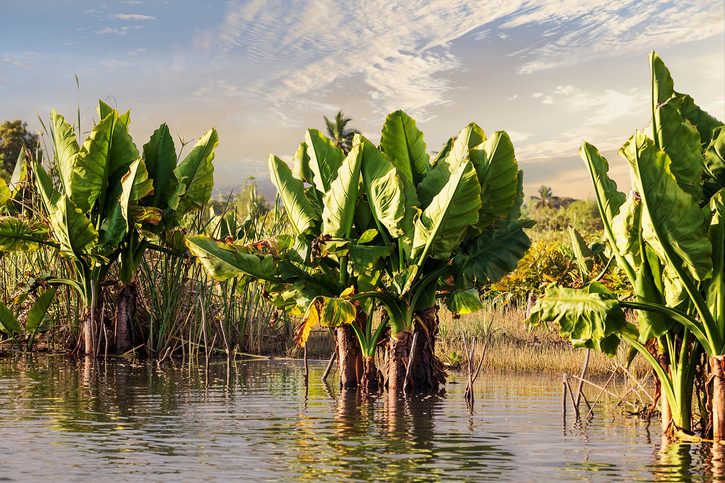 Tamatave - Tamatave,-Madagaskar2