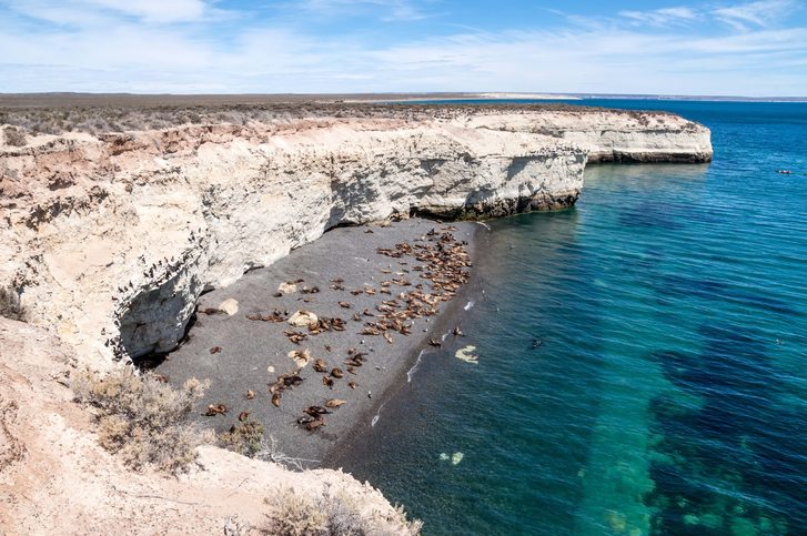 Punta Loma – Vyrazte za kolonií majestátních lvounů, které tady můžete pozorovat v jejich přirozeném prostředí, Puerto Madryn, Patagonie