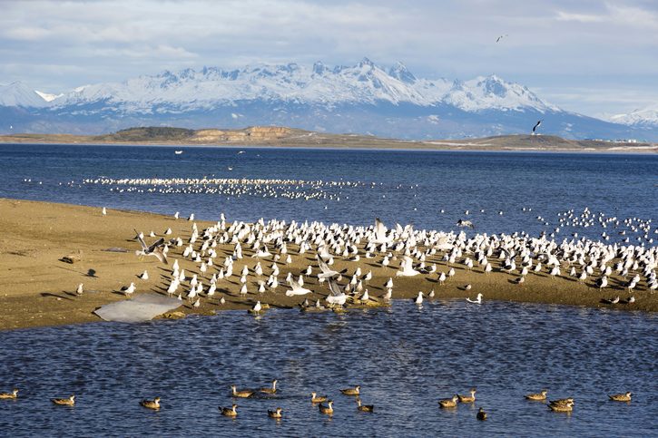 Krásná scenérie v Ushuaie, Argentina