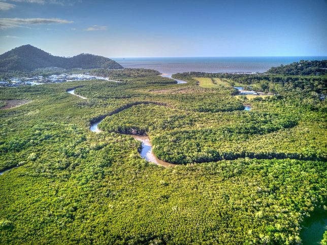 Půlměsíční potok se klikatí směrem k oceánu u Yorkeys Knob (poblíž Cairns), Queenslandu v Austrálii