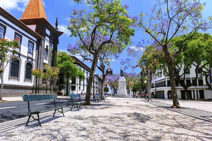 Funchal - Za slunečného letního dne.