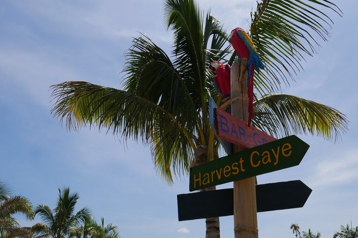 Harvest Caye - Dřevěná cedule s papoušky