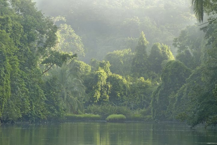 Národní park Corcovado, Kostarika