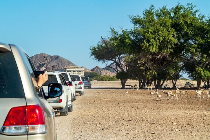 Safari Park na ostrově Sir Bani Yas