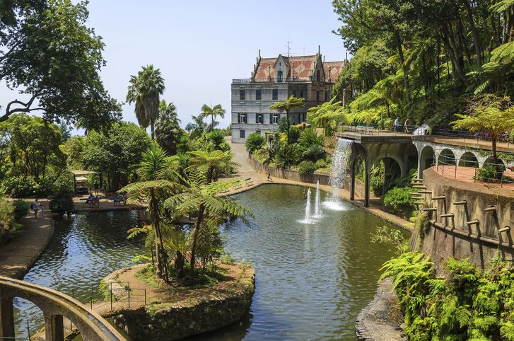 ahrada Monte Palace Tropican. Funchal, ostrov Madeira, Portugalsko