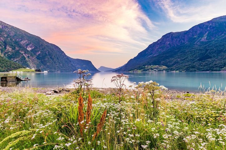 Skjolden - Pohled na Sognefjord u Skjoldenu  