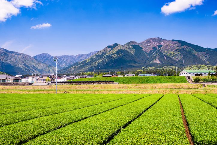 Krásná krajina města Jokkaiči, Japonsko