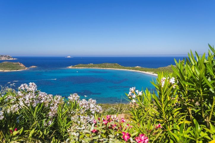 Olbia - Rozkvetlé oleandery v chráněné mořské oblasti Tavolara