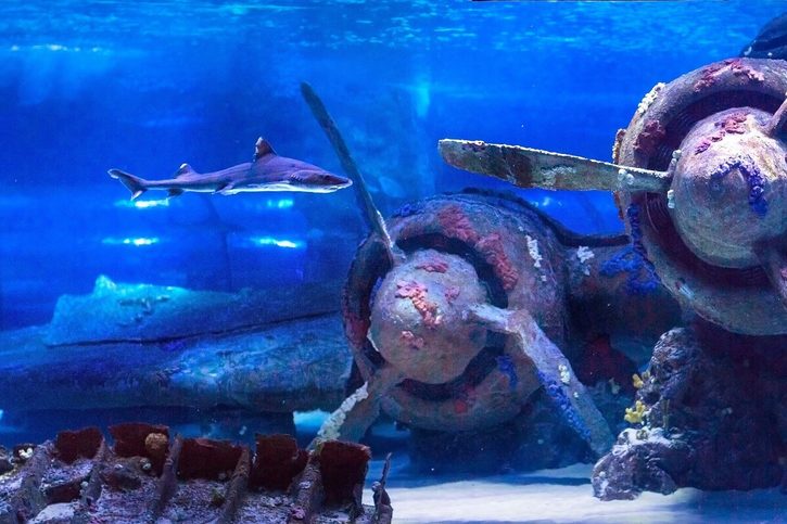 Antalya - Antalya Aquarium