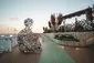 Rooftop Garden - Celebrity Apex