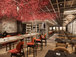 Restaurace Sakura - Explora I
