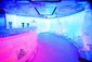 Ice Bar - Norwegian Epic