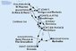 Barbados, Svatý Vincenc a Grenadiny, Grenada, Martinik, Guadeloupe, Svatý Martin, Antigua a Barbuda, Svatý Kryštof a Nevis, Dominika z Bridgetownu na lodi MSC World Asia