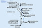 Barbados, Svatý Vincenc a Grenadiny, Grenada, Martinik, Guadeloupe, Svatý Martin, Antigua a Barbuda, Svatý Kryštof a Nevis, Dominika z Bridgetownu na lodi MSC Meraviglia