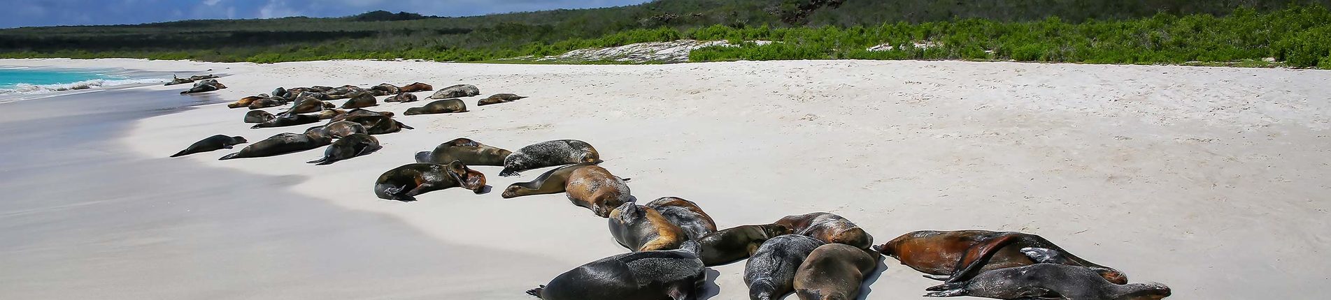 Gardner Bay (Galapágy, Española)