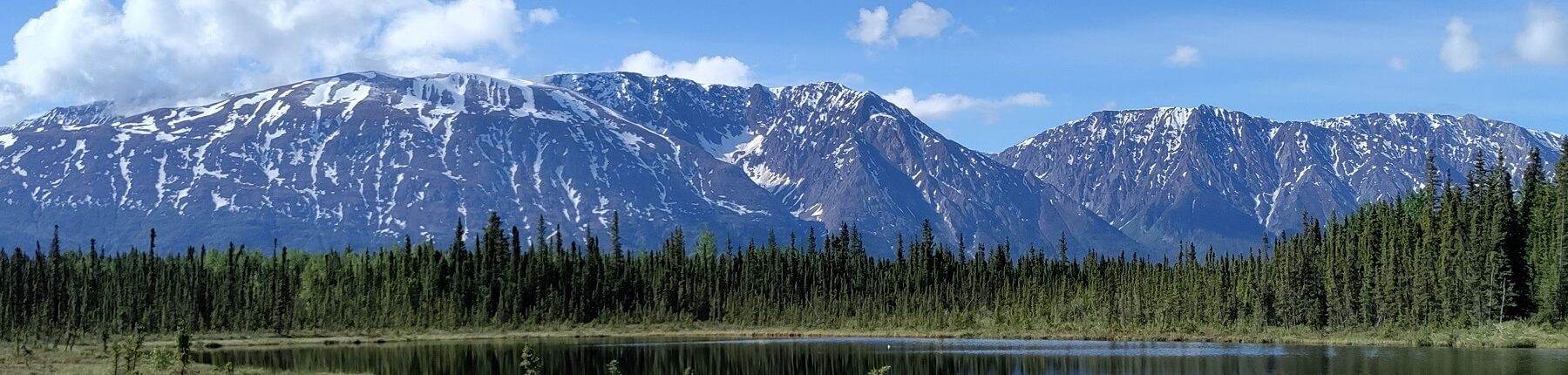 Wrangell (Aljaška)